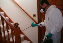 pest control services in cochin pest control services in cochin